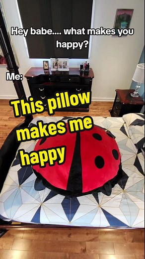 This wearable pillow is what makes me happy #ladybug #pillow #wearablepillow #giftforher