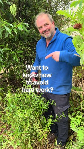 Chop and Drop: Simplifying Your Gardening Process