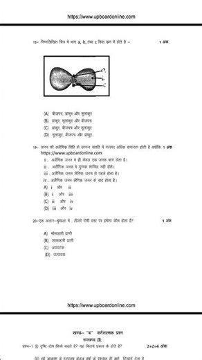 #class10 most important boards up boards