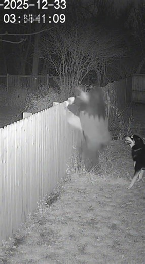 When a Guard Dog Becomes the Real Nightmare 🐕👻#spookyai #scaryreels #halloweenshorts #usacontent