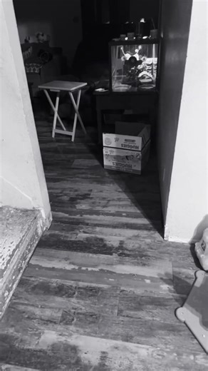 Use this sound the sequel again