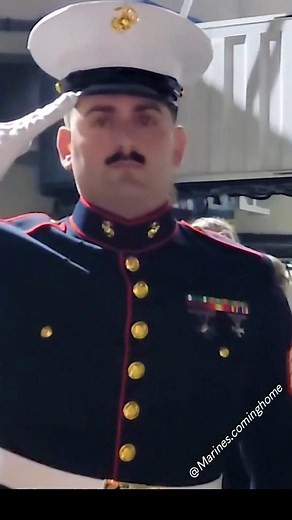 14K views · 425 reactions | Respect and Honor﫡 #hero #fallensoldier #Homecoming #remember | Military Home | Facebook