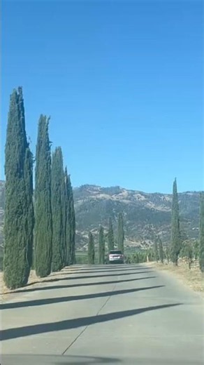 #Beautiful castle #Castello di Amorosa# Napa Valley