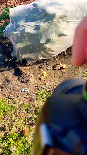 NIKON D40 #photography #camera #lens