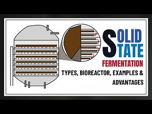 Solid State Fermentation Explained | Types, Bioreactor, Examples & Advantages | Biotechnology Lecs