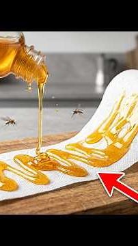 Honey on Toilet Paper Hack Actually Works Against Mosquitoes