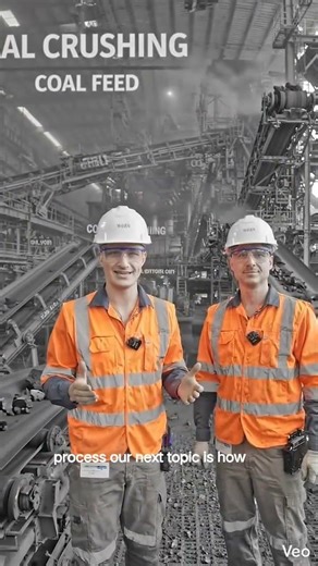 ⚡ How is coal prepared in a thermal power plant?