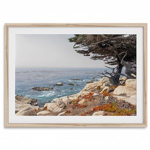 California Ocean Tree Fine Art Photography Print - Coastal Tree Monterey Print, Framed or Unframed Beach Wall Art Poster for Home Decor - Etsy