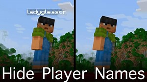 How To Hide Player Names in Minecraft Java Edition