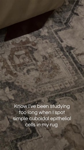 Simple cuboidal epithelial cells spotted in a rug