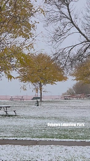 It's magical, this snow globe view at Oshawa Lakeview Park on November 9, 2025. First snowfall .. 💙❄️ #firstsnowfall #fblifestyle #naturelovers | Leah Jones Photography