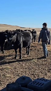Miss this kid every day. Definitely hard when your kids leave the farm to live their own lives. Love you B! #farmlife #farm #farmkids | 1HandnFarming