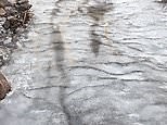 Footage shows frozen puddle thawing from bottom up in Ireland