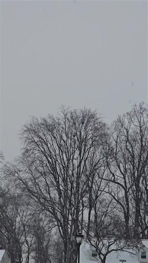 Maria Leon (@maggieleon78)’s videos with som original - CANCIONES_CRISTIANAS🥇