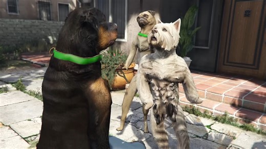 ｢GTA5｣猫狗mod😂😂😂😂😂