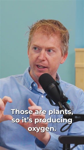 🫧 Determining a lake's health isn't a guessing game - we can do it with science!