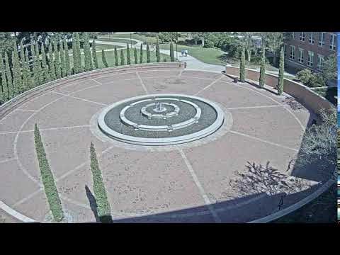 Live Camera Axis P3375-V