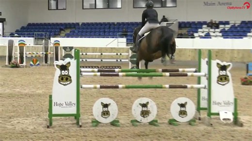 7.7K views · 167 reactions | ✨ Spooky season magic in full flight!...