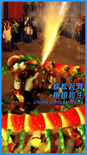#Guangdong | The Centipede Dance is a #folk #dance that imitates the movements and habits of a centipede. 💃During the performance, a large "centipede" weaves in and out, bowing and rising. Its eyes gleam with green light, while its scissors-shaped tail swings freely. Set against the backdrop of drum beats and fireworks, it creates an awe-inspiring spectacle. The dance is rooted in everyday life, yet elevates it to something greater. #news #Newsupdate #culture #shantou | The South