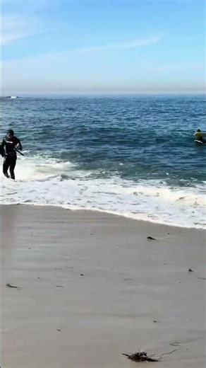 Wipeout Beach Snorkeling La Jolla Shores San Diego #california #LaJolla #LaJollaShores #SanDiego