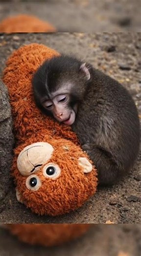 This Moment Hits Harder Than Expected, not Funny Anymore… Just Real 🐒, love monkey punch🙁😢🥹.