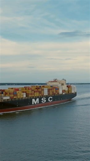 MSC CARGO Centurion Transport Solutions is the Designated Local Representative Authorized by MSC Shipping Hotline: 79 50 888 📱 333 85 30 📧 sales.clearance@centurion.mv #CargoClearance #LogisticsExcellence #SeamlessDelivery #maldives #Centurion #LogisticsSolutions #airandseacargo #imports #aircargomaldives #seacargo #logistics #landingcraft #OnTimeEveryTime #PerishableGoods #Logistics #FreightSolutions #CenturionPowered #AirFreight #SeaFreight #IslandDelivery #GlobalShipping #CenturionCargo #Pe