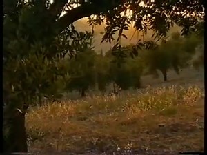 Maurane en duo avec Salvatore Adamo | Compagnons de chansons