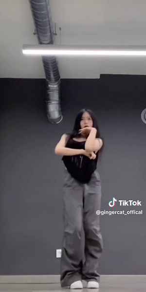 Ginger Cats Ringo Challenge by Heayoon