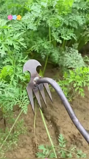 🌱 Master Your Garden with the Ultimate Weed Puller! 🛠️ Tackle stubborn weeds effortlessly with this durable 4-tooth manganese steel weeder. 🌿 Perfect for vegetable gardens and planting, this 16-inch tool ensures precision and ease. 🌟 Say goodbye to back pain and hello to a pristine garden! 🌱🖤 | Culminatew