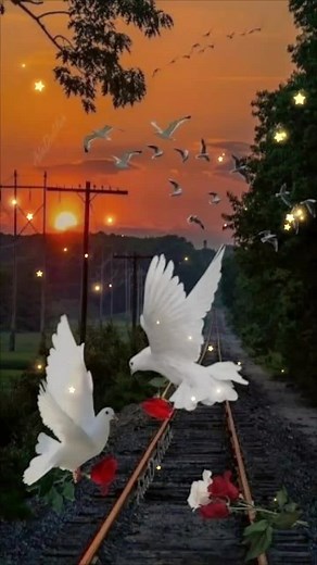 Nature Scenes with Stunning Visual Effects