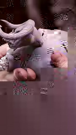 2.3K views · 54 reactions | Happy Monday! Here's an update on the DnD...