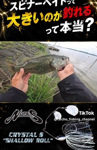 スピナーベイトで大物を狙う｜柴山潟バス釣りの実釣レポ