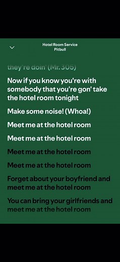 #hotelroom #pitbull #song