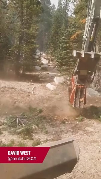 47K views · 58 reactions | Excavator mounted Bull Hog® mulchers make...