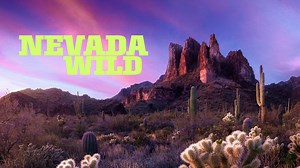 Nevada Wild - Animal Planet Reality Series - Where To Watch