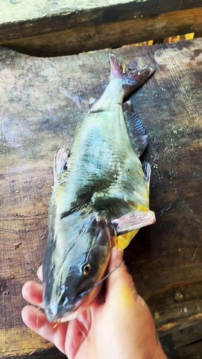 Discover the Delicious Art of Cooking Fresh Fish Eggs