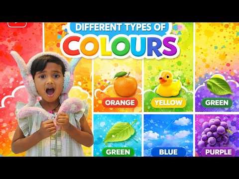 Types Of Colours | Colours | Red | Blue | Green | Colours For Kids | Kids Education