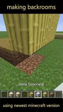 making the backrooms in vanilla minecraft #backrooms