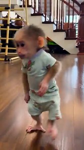 Lala goes to the park to relax and enjoy snacks with Thuy! #Kakavideo | Kaka Video