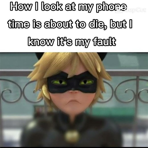 I just had to add a miraculous ladybug reference