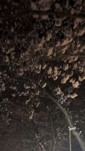 恋愛の歌詞動画：彼氏との素敵な繋がり