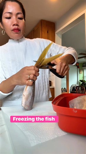 28 reactions · 21 comments | Freezing the fish #fish #foodpreservation | Mary Ann Colavito | Facebook