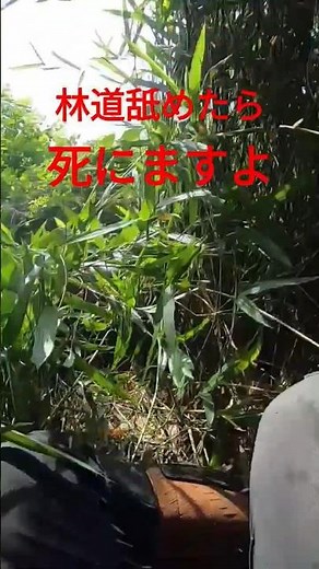 【林道落下映像】注意喚起 #オフロードバイク #林道 #林道ツーリング #モトブログ #klx250 #バイク事故