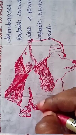 Cute dog with cap sketching #sketching #penart #petloversart #puppy #dogart