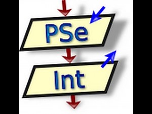 Curso basico de pseint 2