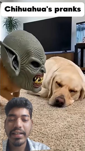 Transform Your Home with These Cool Tools! 🔧 #shorts​ #gadgets​" 430