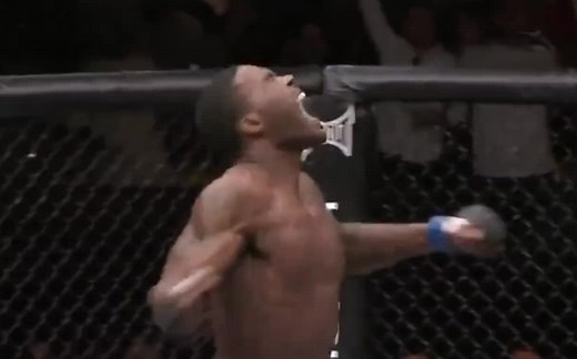 MMA中猛兽级的KO与TKO锦集