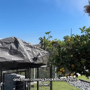 24K views · 449 reactions | If you haven't yet seen... here's a tour of my new temp house! ︎ | Joey Graceffa | Facebook