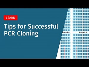 Tips for Successful PCR Cloning