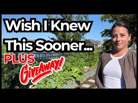 Before You Build a Raised Bed... Watch This!